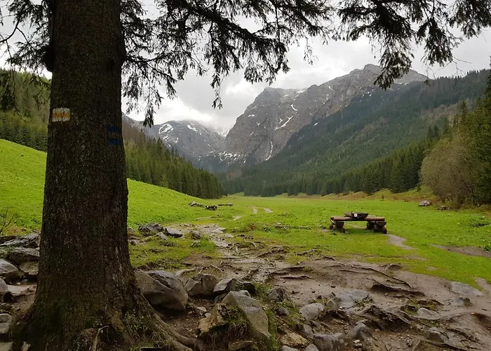 Spanie Po Zboju * Kościelisko